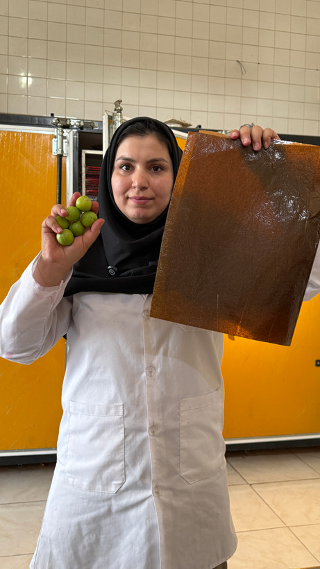لواشک گوجه سبز نمکی