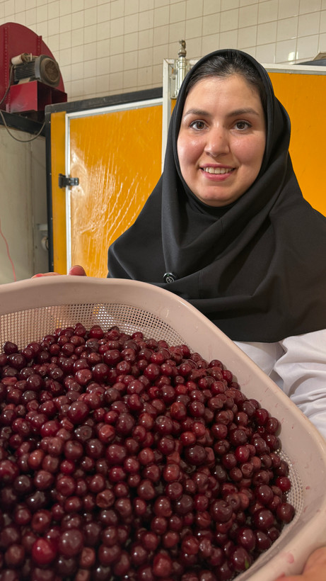لواشک آلبالو خانگی ۱۰۰ درصد