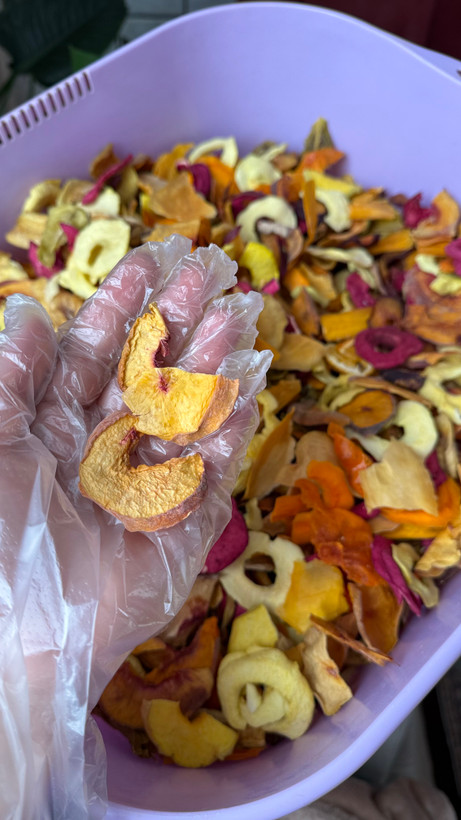 میوه آجیلی